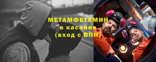 ПСИЛОЦИБИНОВЫЕ ГРИБЫ Богданович