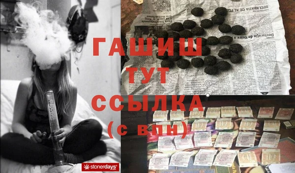 ПСИЛОЦИБИНОВЫЕ ГРИБЫ Богданович