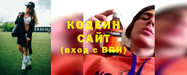ПСИЛОЦИБИНОВЫЕ ГРИБЫ Богданович