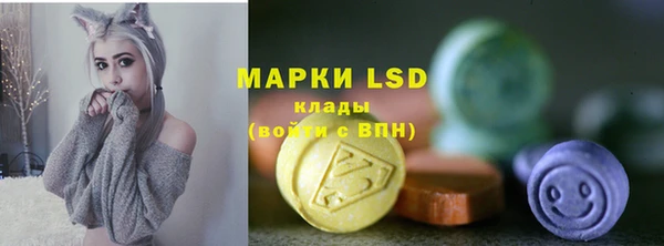 ПСИЛОЦИБИНОВЫЕ ГРИБЫ Богданович