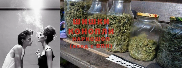 ПСИЛОЦИБИНОВЫЕ ГРИБЫ Богданович
