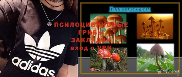 COCAINE Богородицк