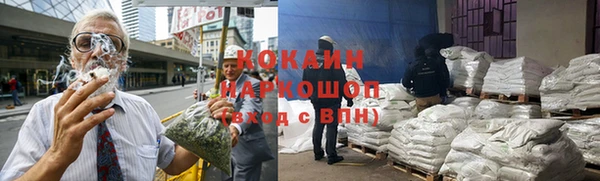ПСИЛОЦИБИНОВЫЕ ГРИБЫ Богданович