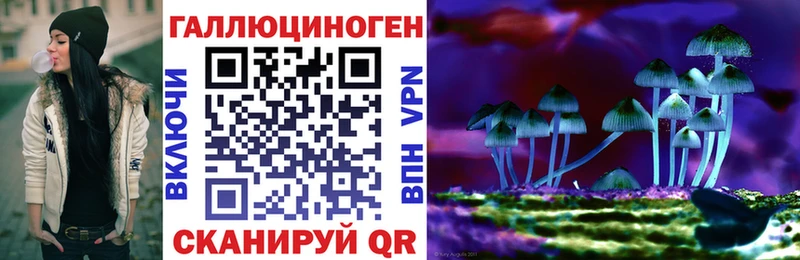 Галлюциногенные грибы MAGIC MUSHROOMS  hydra   Верхний Уфалей  наркотики 