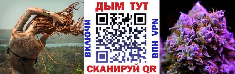 где купить наркотик  Верхний Уфалей  Бошки марихуана SATIVA & INDICA 